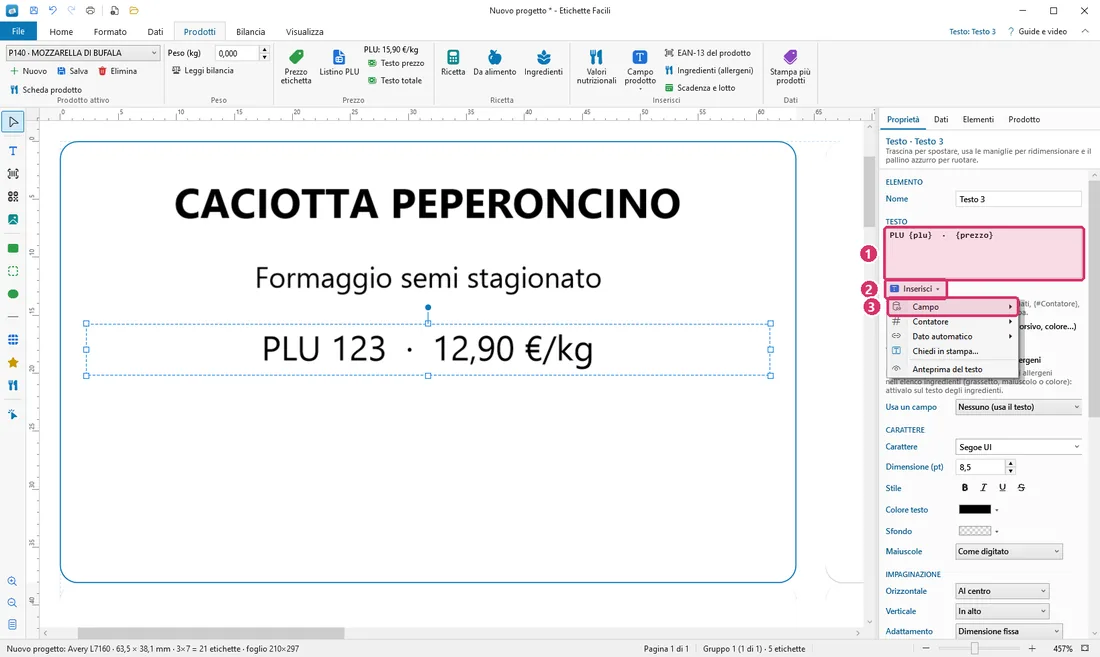 Testo e campi insieme; Inserisci → Campo